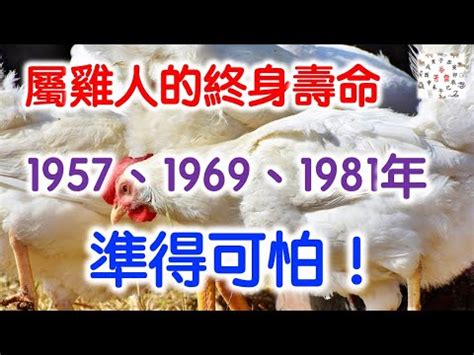 1981年農曆|1981 (辛酉 肖雞 年公曆與農曆日期對照表